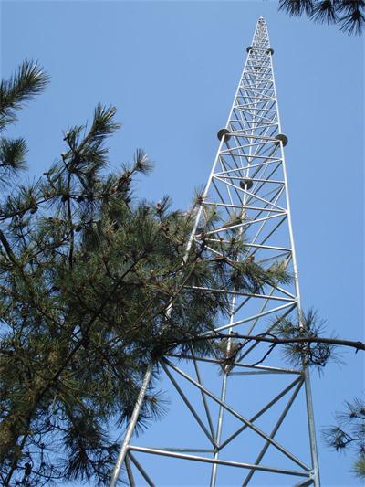 河北樓頂避雷針?biāo)r格