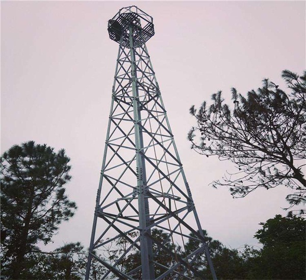 森林監(jiān)控塔是怎樣制作的?