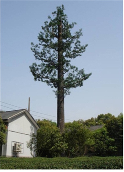 仿生樹信號(hào)塔