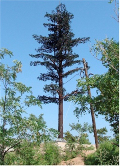 仿生樹塔生產(chǎn)